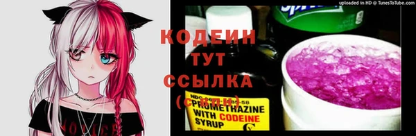 хмурый Абинск