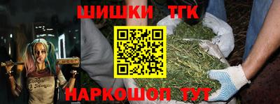 крисы Моздок