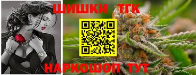 крисы Моздок