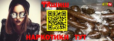 крисы Моздок